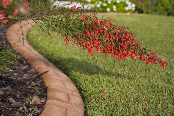 Brick Edging in Charlotte