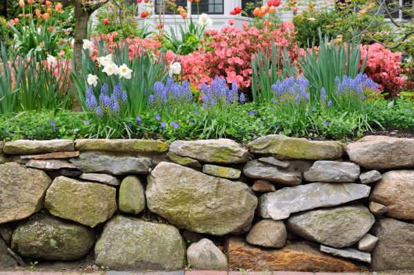 Stone Wall Hardscaping in Charlotte